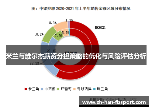 米兰与维尔杰薪资分担策略的优化与风险评估分析