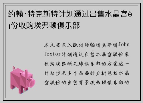 约翰·特克斯特计划通过出售水晶宫股份收购埃弗顿俱乐部